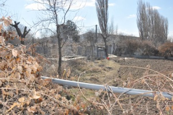 Grădini de zarzavaturi, răsărite ilegal în Zona Industrială